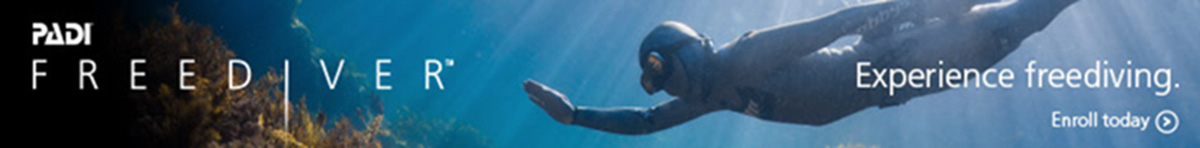 freediving freediver