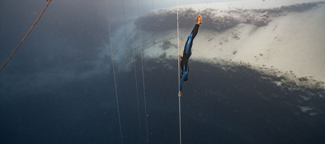 freediving alex davis aida padi